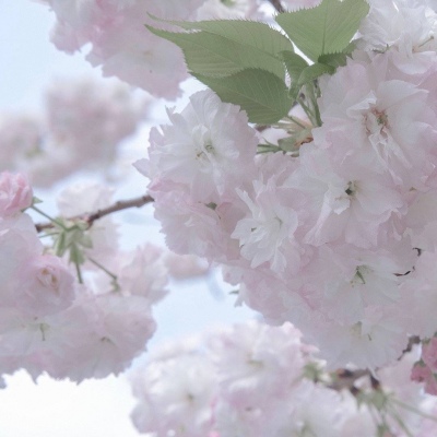 威海福瑞交流群